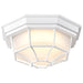 Nuvo Lighting - 62-1399 - LED Spider Cage Fixture - White