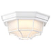 Nuvo Lighting - 62-1399 - LED Spider Cage Fixture - White