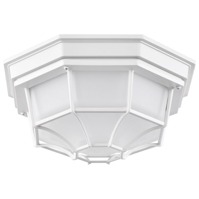 Nuvo Lighting - 62-1399 - LED Spider Cage Fixture - White
