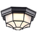 Nuvo Lighting - 62-1400 - LED Spider Cage Fixture - Black