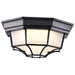 Nuvo Lighting - 62-1400 - LED Spider Cage Fixture - Black
