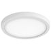 Nuvo Lighting - 62-1728 - LED Flush Mount - White