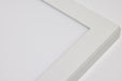Nuvo Lighting - 62-1775 - LED Surface Mount - White