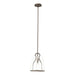 Hubbardton Forge - 131065-SKT-MULT-05-ZM0721 - One Light Pendant - Caliper - Bronze