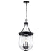 Nuvo Lighting - 60-7800 - Three Light Pendant - Boliver - Matte Black