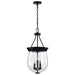 Nuvo Lighting - 60-7800 - Three Light Pendant - Boliver - Matte Black