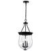 Nuvo Lighting - 60-7800 - Three Light Pendant - Boliver - Matte Black