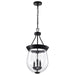Nuvo Lighting - 60-7800 - Three Light Pendant - Boliver - Matte Black