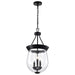 Nuvo Lighting - 60-7800 - Three Light Pendant - Boliver - Matte Black
