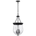 Nuvo Lighting - 60-7800 - Three Light Pendant - Boliver - Matte Black