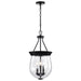 Nuvo Lighting - 60-7800 - Three Light Pendant - Boliver - Matte Black