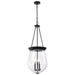 Nuvo Lighting - 60-7803 - Three Light Pendant - Boliver - Matte Black