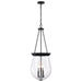 Nuvo Lighting - 60-7803 - Three Light Pendant - Boliver - Matte Black