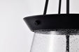 Nuvo Lighting - 60-7803 - Three Light Pendant - Boliver - Matte Black