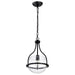 Nuvo Lighting - 60-7817 - One Light Pendant - Amado - Matte Black