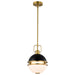 Nuvo Lighting - 60-7876 - One Light Pendant - Everton - Matte Black
