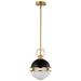 Nuvo Lighting - 60-7876 - One Light Pendant - Everton - Matte Black