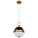 Nuvo Lighting - 60-7876 - One Light Pendant - Everton - Matte Black
