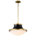 Nuvo Lighting - 60-7908 - Three Light Pendant - Lafayette - Matte Black