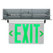 Nuvo Lighting - 67-116 - LED Exit Sign - Clear