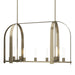 Hubbardton Forge - 131075-SKT-MULT-84-FD0462 - Nine Light Pendant - Triomphe - Soft Gold