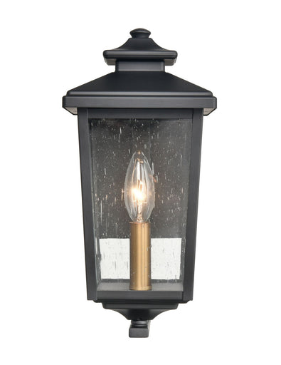Eldrick One Light Outdoor Hanging Lantern