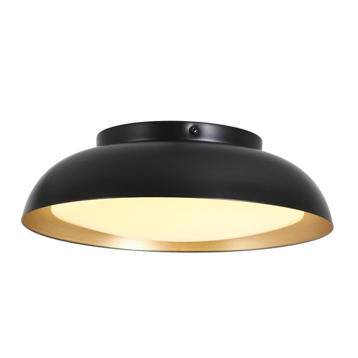 LNC - HA05055 - LED Ceiling Lamp - Flat Black/ Satin Gold