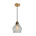 LNC - HA05076 - One Light Pendant - Brass/Smoky Grey Glass