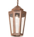 Meyda Tiffany - 264597 - One Light Pendant - Corum - Rust,Antique