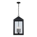 Trans Globe Imports - 51538 BK - Three Light Outdoor Hanging Lantern - Tempest - Black