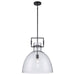 Trans Globe Imports - PND-2229 BK - One Light Pendant - Ameranth - Black