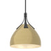 Hubbardton Forge - 134502-SKT-MULT-10-86 - One Light Pendant - Summit - Black