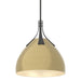 Hubbardton Forge - 134502-SKT-MULT-20-86 - One Light Pendant - Summit - Natural Iron