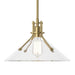 Hubbardton Forge - 134553-SKT-MULT-86-ZM0686 - One Light Pendant - Henry - Modern Brass