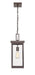 Millennium - 42607-PBZ - One Light Outdoor Hanging Lantern - Barkeley - Powder Coated Bronze