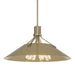 Hubbardton Forge - 136340-SKT-MULT-84-82 - Four Light Pendant - Henry - Soft Gold