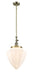 Innovations - 206-AB-G661-12 - One Light Mini Pendant - Franklin Restoration - Antique Brass