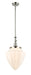 Innovations - 206-PN-G661-12 - One Light Mini Pendant - Franklin Restoration - Polished Nickel