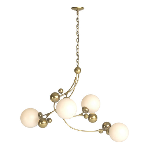Sprig Four Light Pendant Modern Brass