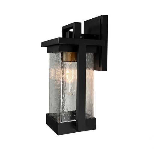 Port Charlotte Collection One Light Outdoor Wall Sconce