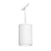 W.A.C. Lighting - DS-PD0517-S30-WT - LED Pendant - Tube Arch - White