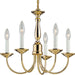 Progress Lighting - P4009-10 - Five Light Chandelier - Five Light - Polished Brass