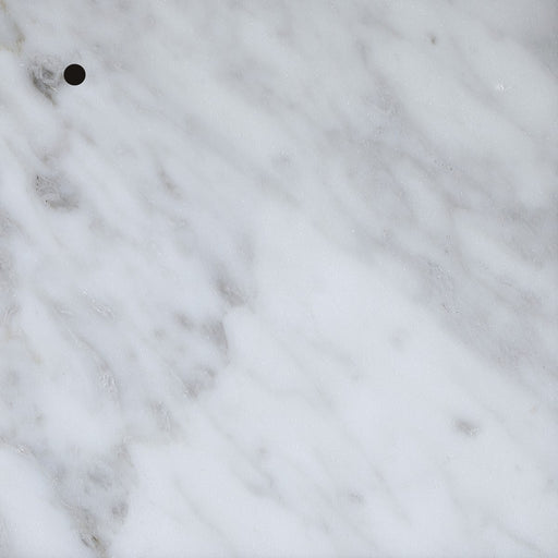 Elegant Lighting - ST-100 - Stone Finish Sample - Stone finish sample - Carrara White Marble