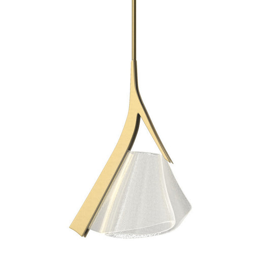 Mobius LED Pendant Modern Brass
