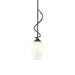 Hubbardton Forge - 183030-SKT-MULT-20-GG0303 - One Light Mini Pendant - Flora - Natural Iron