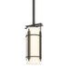 Hubbardton Forge - 183550-SKT-MULT-20-GG0118 - One Light Mini Pendant - Paralline - Natural Iron