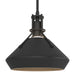 Hubbardton Forge - 184251-SKT-MULT-10-10 - One Light Mini Pendant - Henry - Black