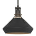 Hubbardton Forge - 184251-SKT-MULT-20-10 - One Light Mini Pendant - Henry - Natural Iron