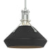 Hubbardton Forge - 184251-SKT-MULT-82-10 - One Light Mini Pendant - Henry - Vintage Platinum