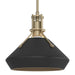 Hubbardton Forge - 184251-SKT-MULT-84-10 - One Light Mini Pendant - Henry - Soft Gold